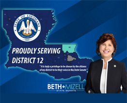 Political website design for Senator Beth Mizell serving District 12 in Washington and St. Tammany Parish